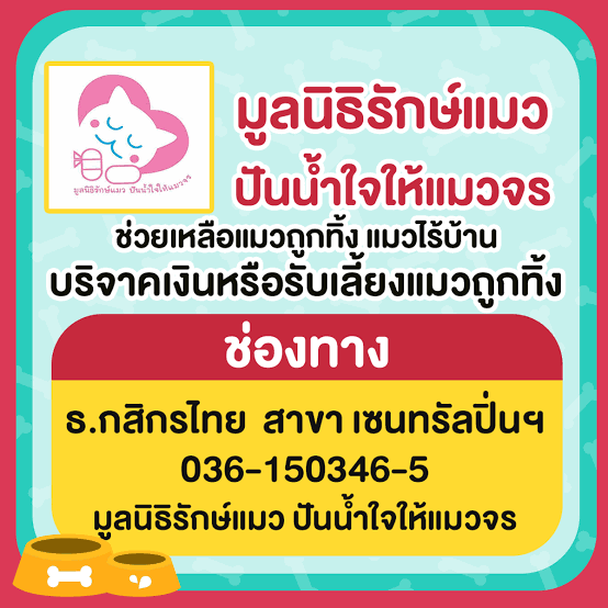 มลูนิธิรักแมว ปันน้ำใจให้แมวจร