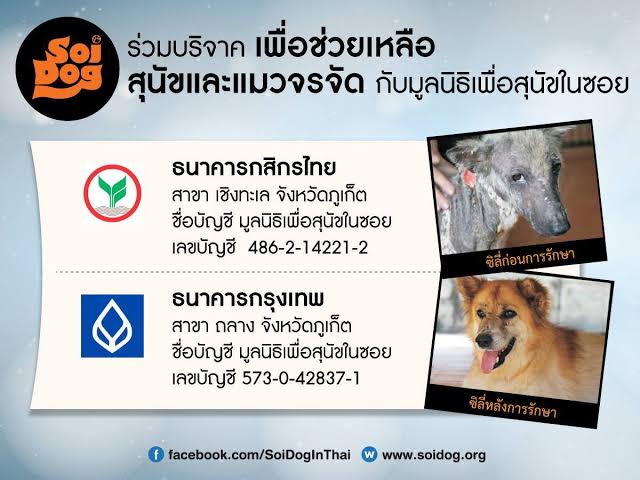 มูลนิธิเพื่อสุนัขในซอย Soi Dog