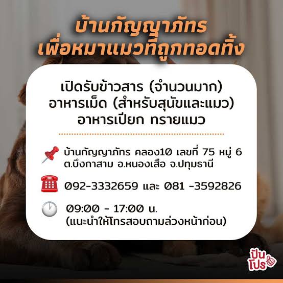 บ้านกัญญาภัทร เพื่อ หมาแมวที่ถูกทอดทิ้ง